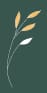 Christian Hill Teen Counseling Logo small